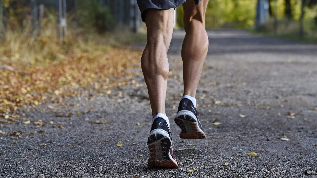 Como crescer a panturrilha?